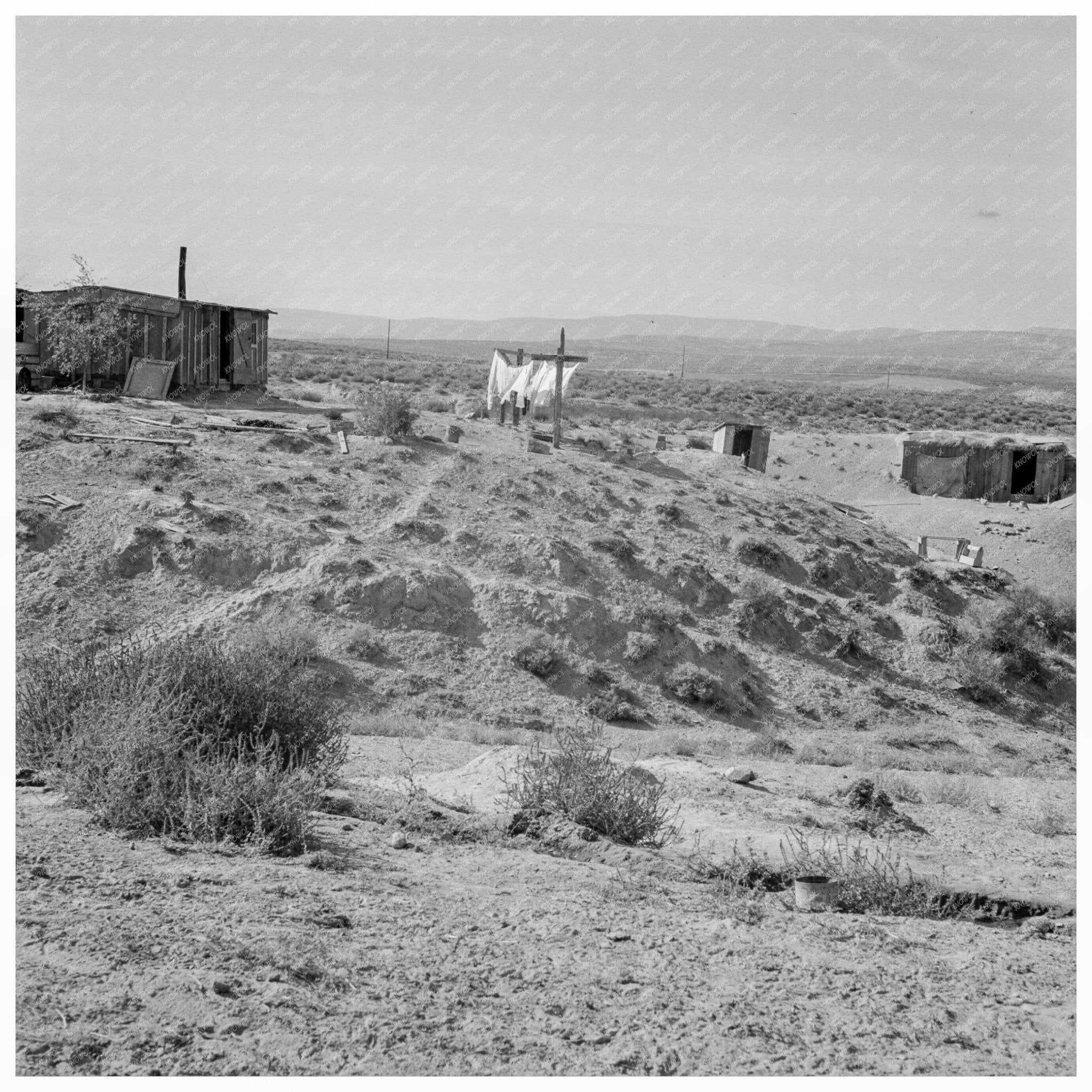 Dazey Farm in Homedale Oregon October 1939 - Available at KNOWOL