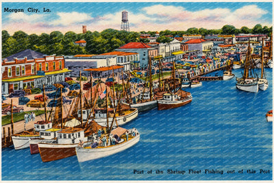 Morgan City, LA: Part of the shrimp fleet fishing out of this port