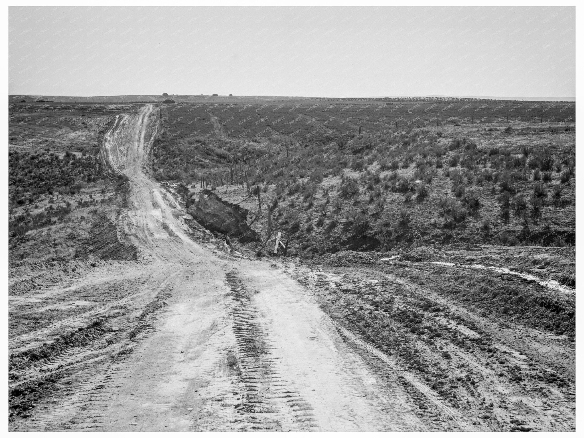 Dead Ox Flat Oregon Landscape October 1939 Photo - Available at KNOWOL