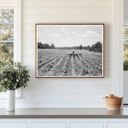 Delta Cooperative Farm Hillhouse Mississippi June 1937 - Available at KNOWOL