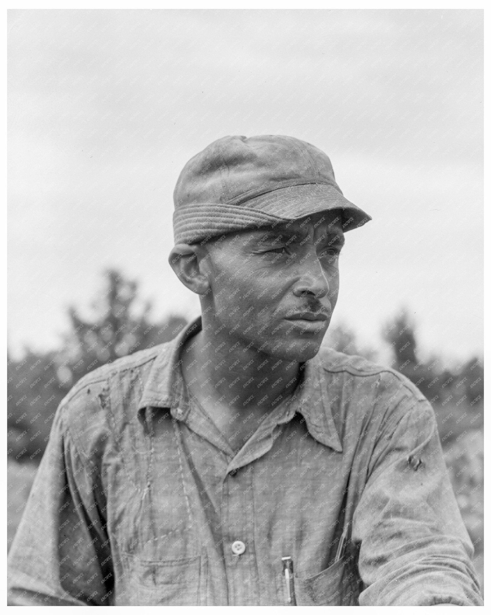 Delta Cooperative Farm Member Hillhouse Mississippi June 1937 FSA OWI Collection - Available at KNOWOL