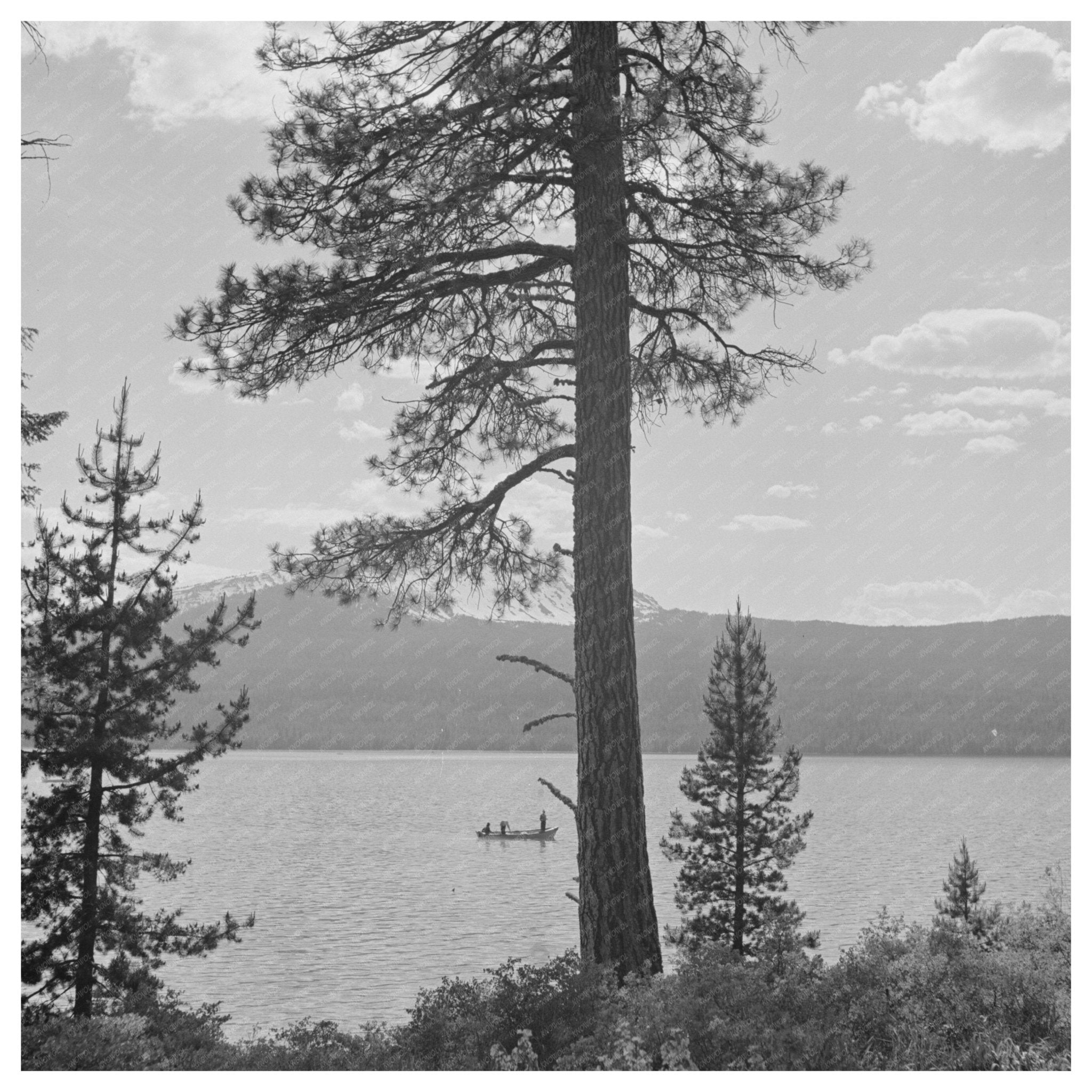 Diamond Lake Resort Area Douglas County Oregon 1942 Photo - Available at KNOWOL