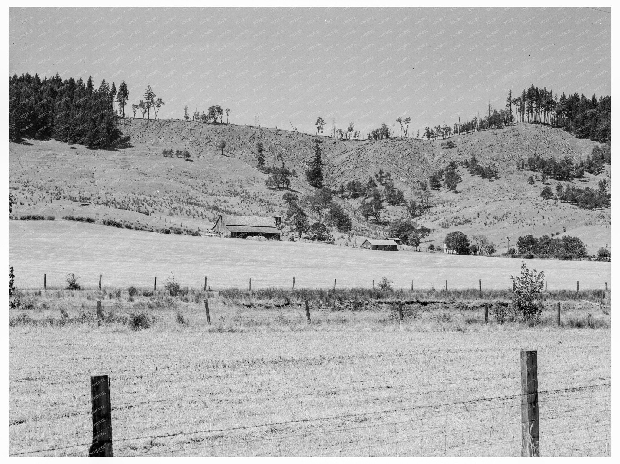 Douglas County Oregon Grain Farm August 1939 Image - Available at KNOWOL