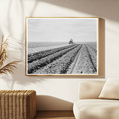 Dust Bowl Farmer and Son in New Mexico 1938 - Available at KNOWOL