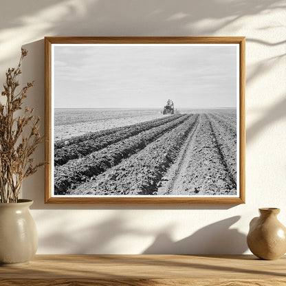 Dust Bowl Farmer and Son in New Mexico 1938 - Available at KNOWOL