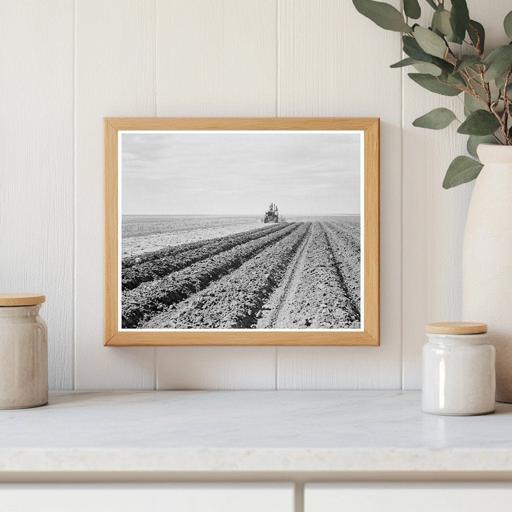 Dust Bowl Farmer and Son in New Mexico 1938 - Available at KNOWOL