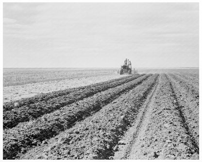 Dust Bowl Farmer and Son in New Mexico 1938 - Available at KNOWOL