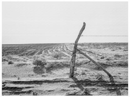 Dust Bowl Farming in Dallam County Texas 1938 - Available at KNOWOL