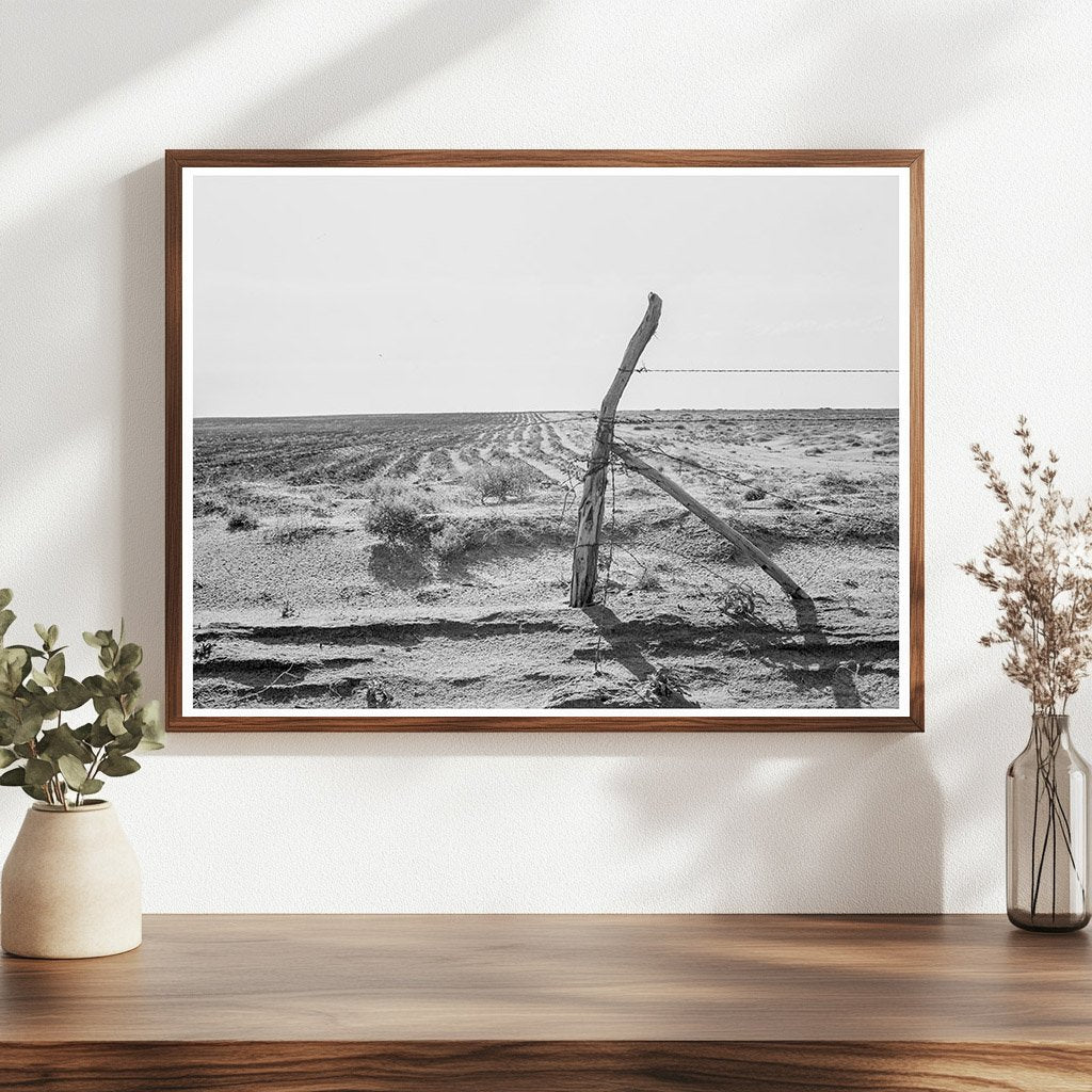 Dust Bowl Farming in Dallam County Texas 1938 - Available at KNOWOL