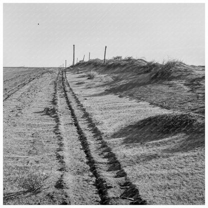 Dust Drift Along Fence Dallam County Texas 1938 - Available at KNOWOL