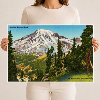 Mount Rainier National Park, WA: Rainier National Park, Mt. Rainier and Paradise Valley