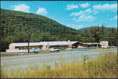 Continental Motel, RFD 5, Box 393A, Cumberland, MD 21502 — Vintage Maryland Postcard