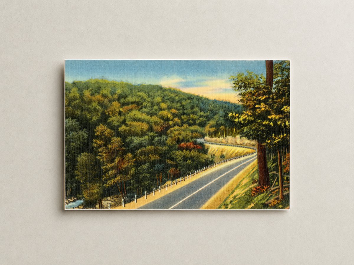 Road winding through forest — Vintage Maryland Postcard
