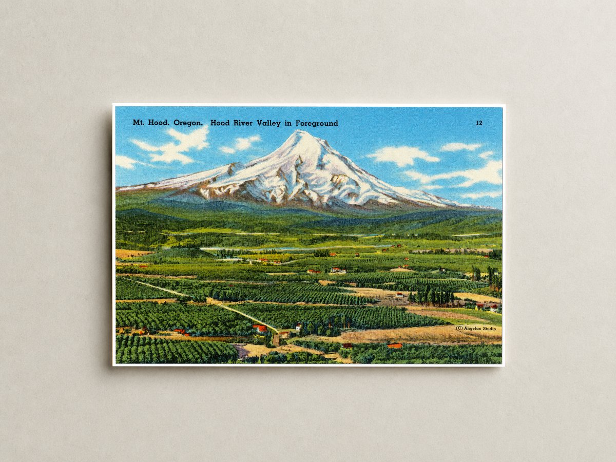 Hood River Valley, OR: Mt. Hood, Oregon. Hood River Valley in foreground