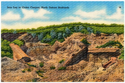 Cedar Canyon, ND: Iron log in Cedar Canyon, North Dakota Badlands