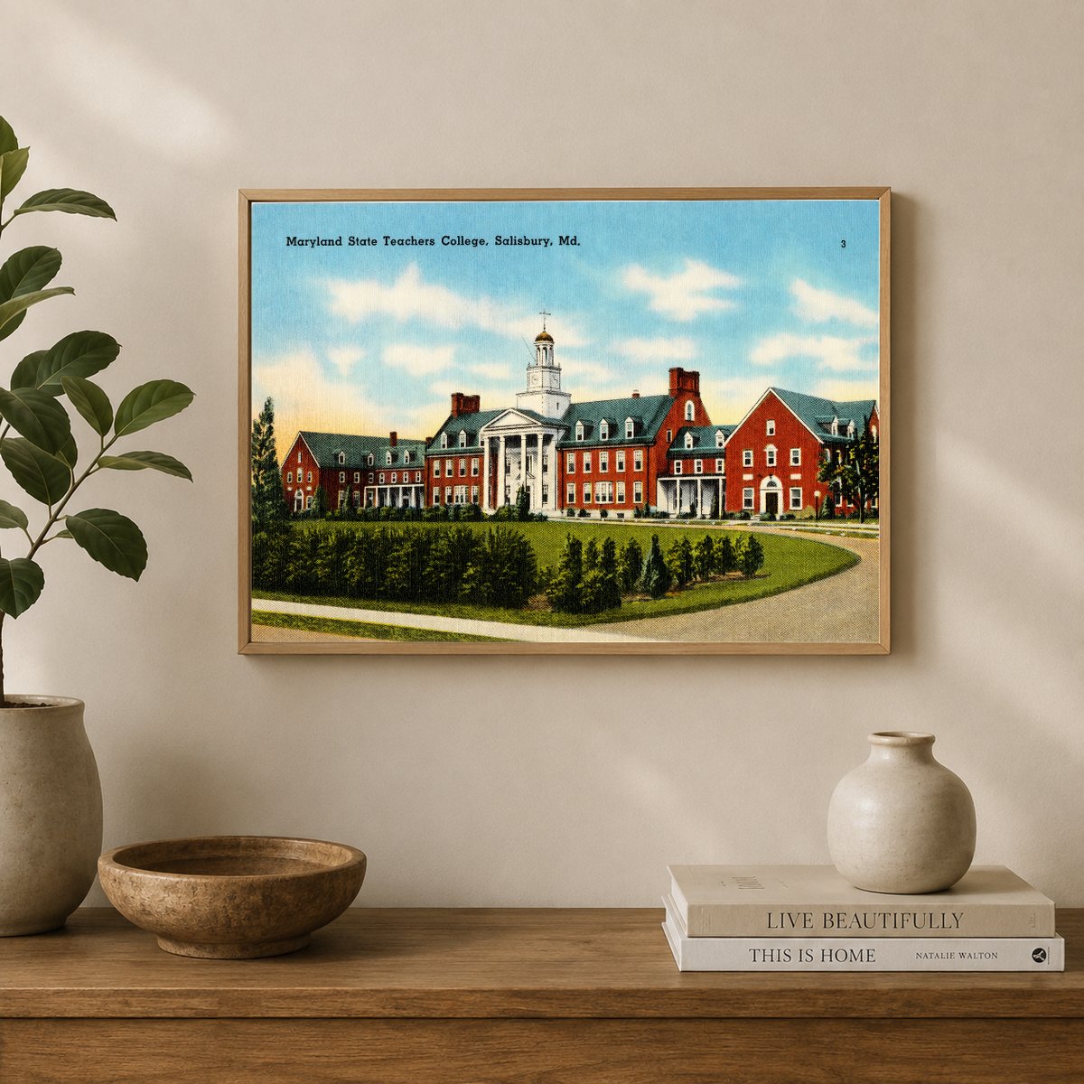 Maryland State Teachers College, Salisbury, MD — Vintage Maryland Postcard