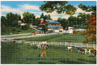Wilton Farm Dairy -- Catonsville 28, MD — Vintage Maryland Postcard