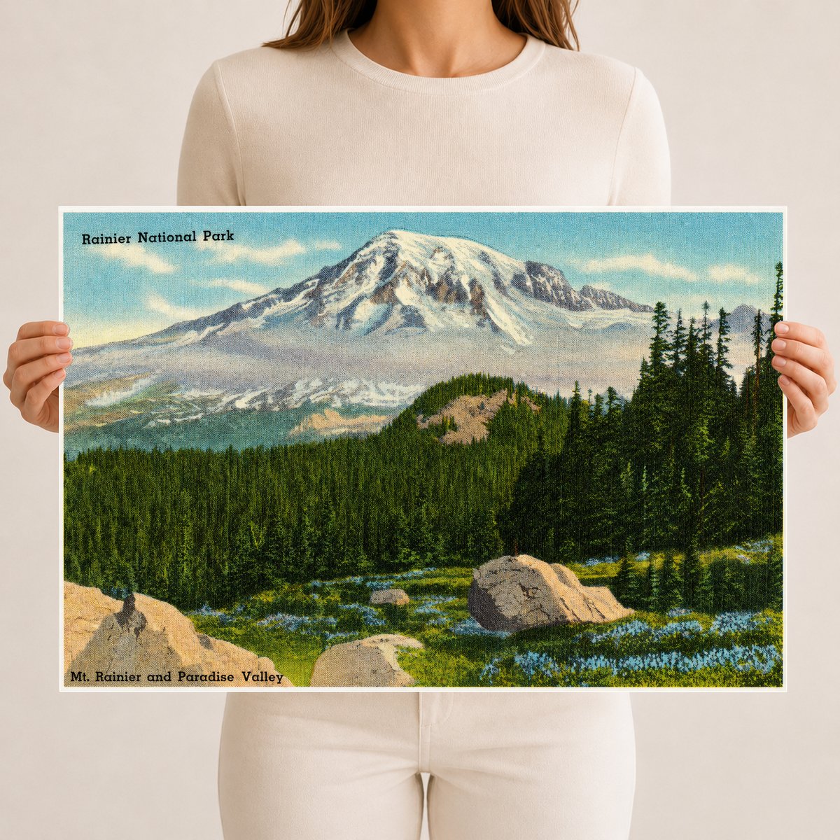 Mount Rainier National Park, WA: Rainier National Park, Mt. Rainier and Paradise Valley