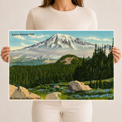 Mount Rainier National Park, WA: Rainier National Park, Mt. Rainier and Paradise Valley