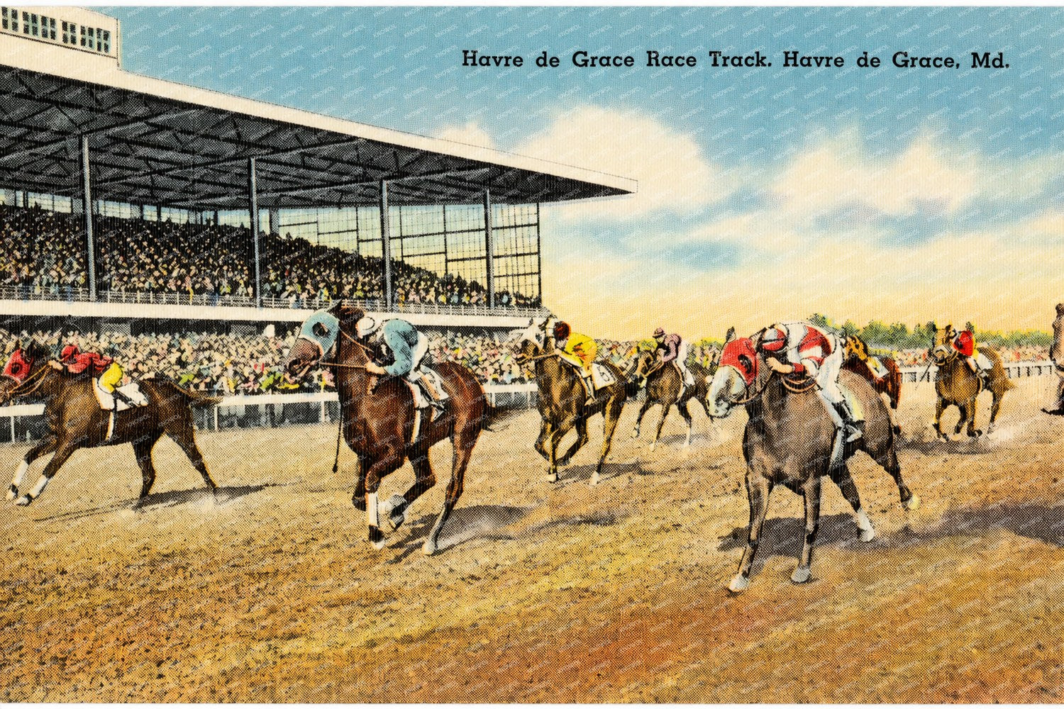 Havre de Grace Race Track, Havre de Grace, MD — Vintage Maryland Postcard