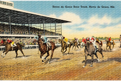 Havre de Grace Race Track, Havre de Grace, MD — Vintage Maryland Postcard