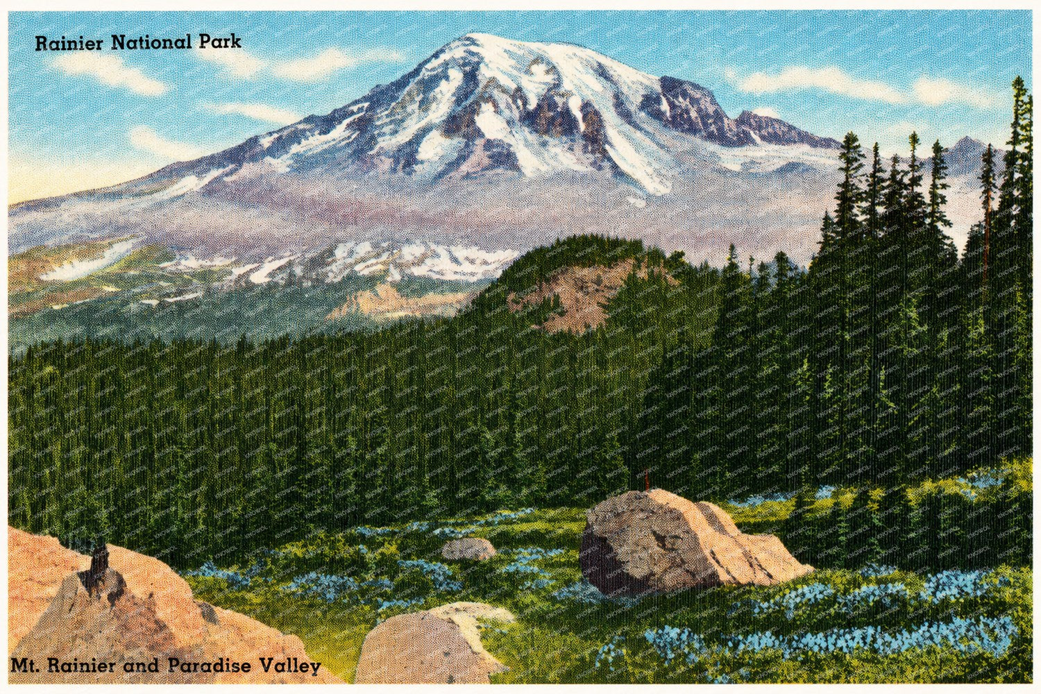 Mount Rainier National Park, WA: Rainier National Park, Mt. Rainier and Paradise Valley