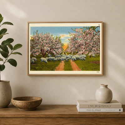 Apple blossom time, scene like this make this section a veritable fairyland for weeks in the spring time. — Vintage Maryland Postcard