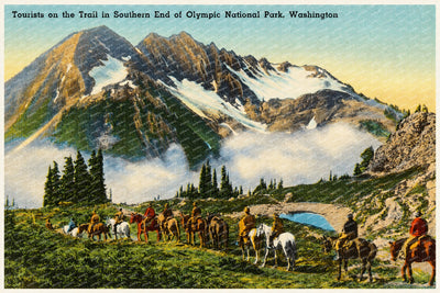 Olympic National Park, WA: Tourist on the trail southern end of Olympic National Park