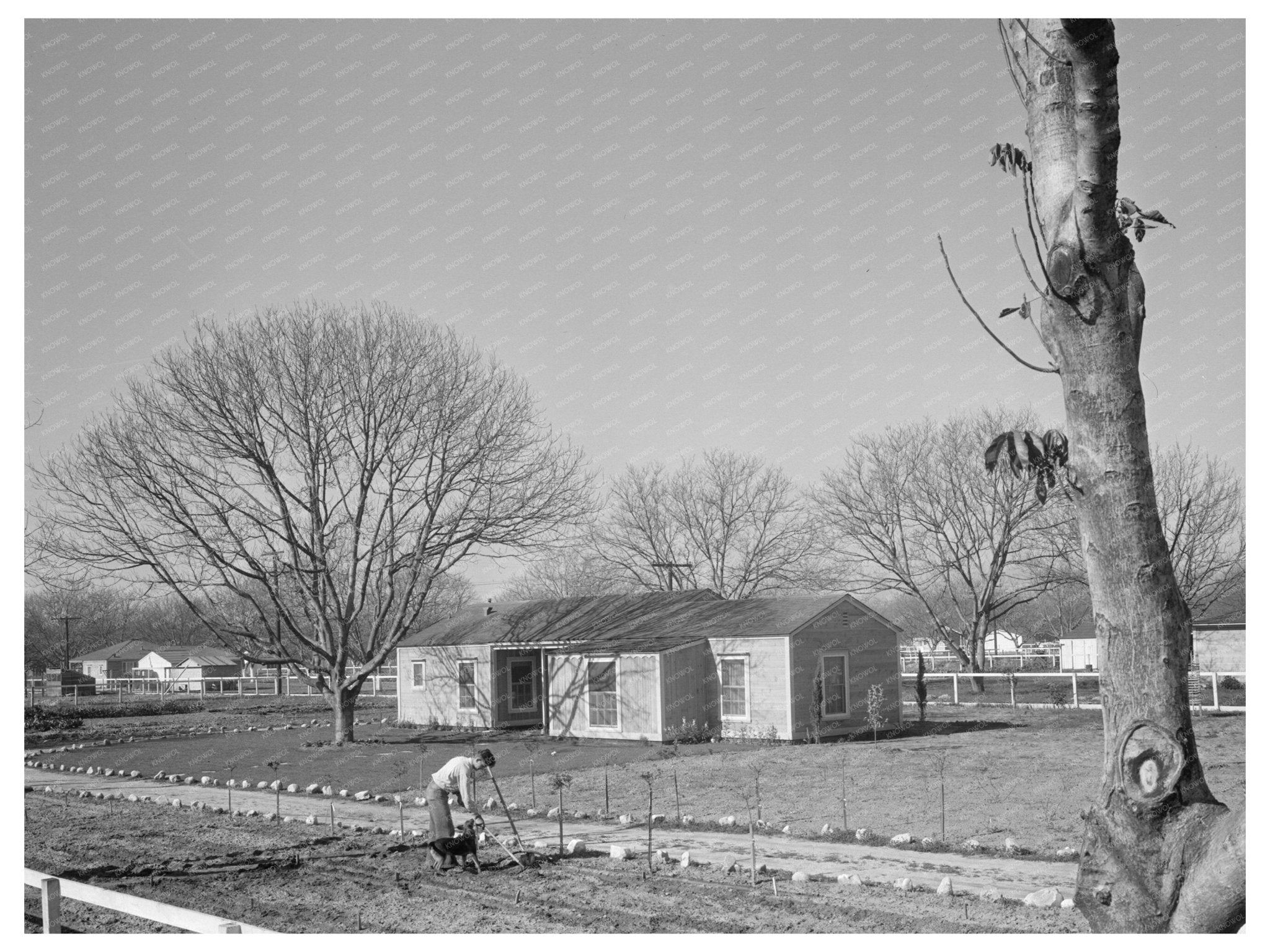 El Monte Federal Homesteads 1936 Community Homes During Great Depression Vintage Photo - Available at KNOWOL