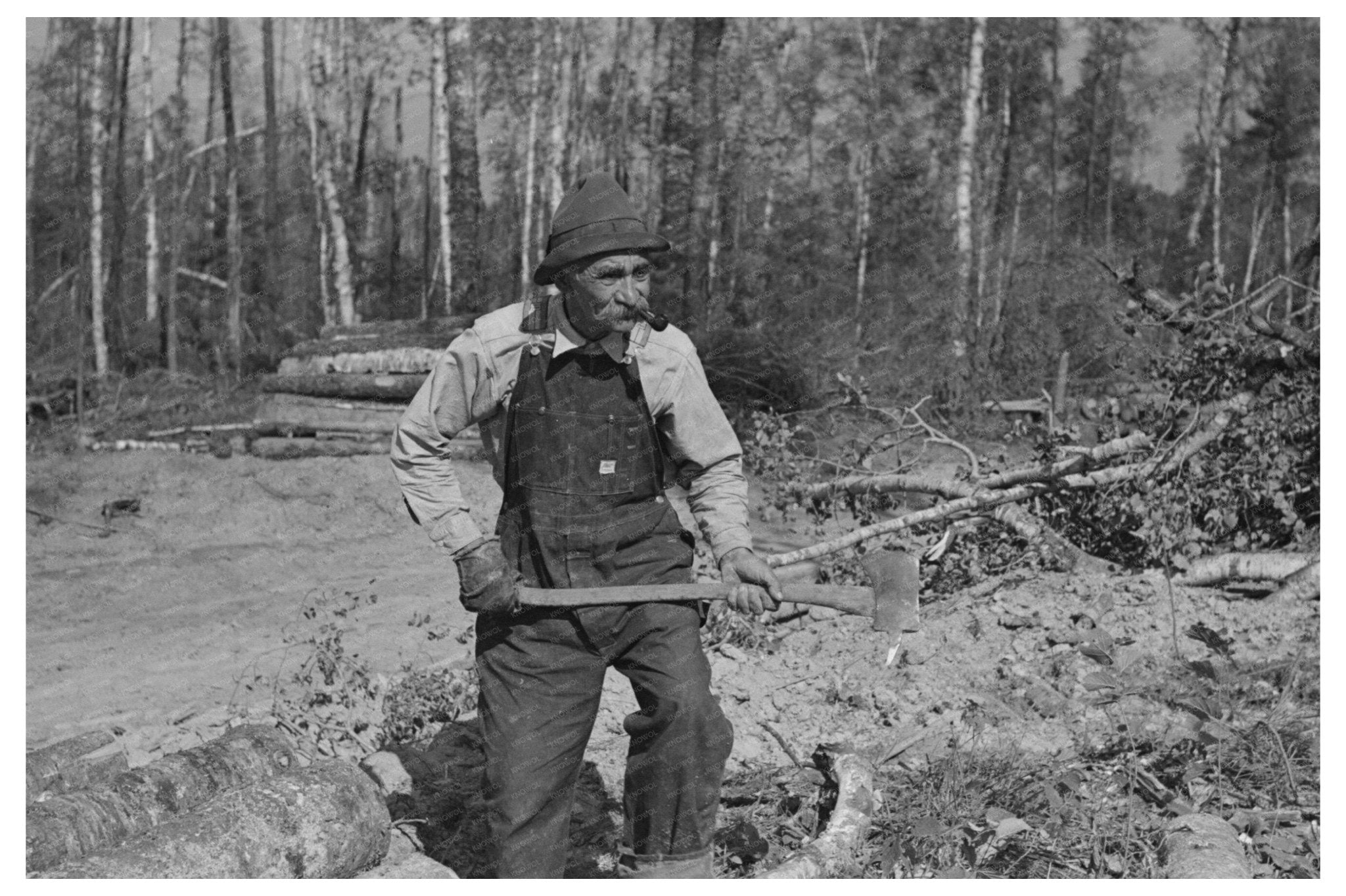 Elderly Lumberjack at Minnesota Camp September 1937 - Available at KNOWOL