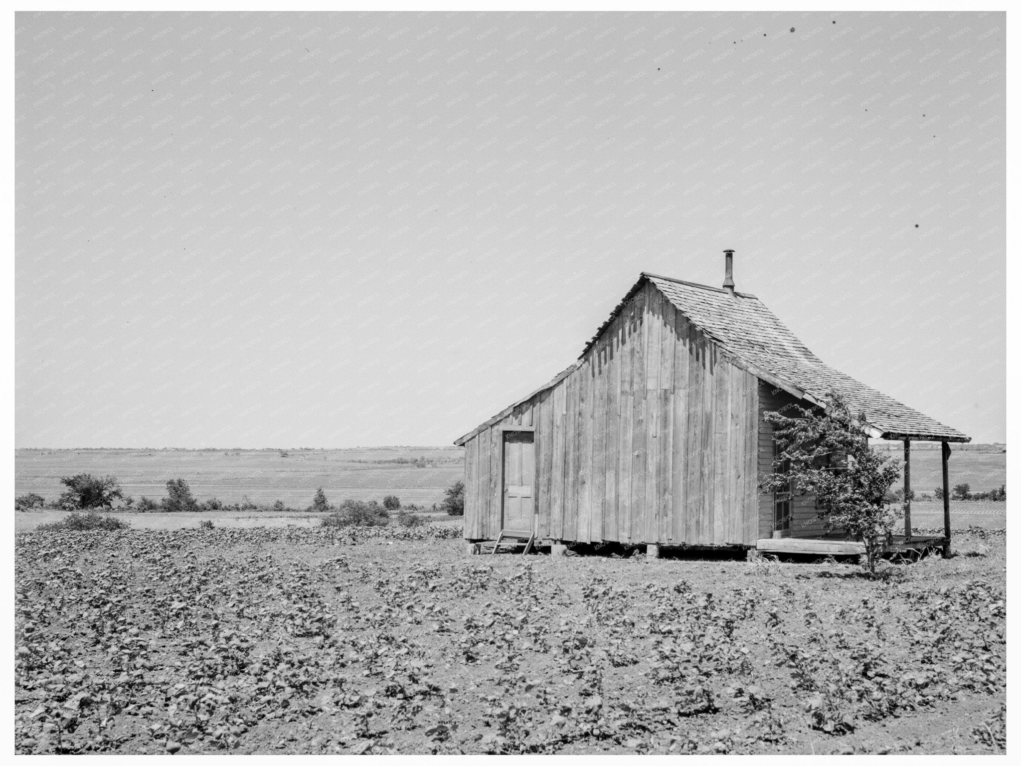 Ellis County Texas Cotton Lands June 1937 Farming Impact - Available at KNOWOL