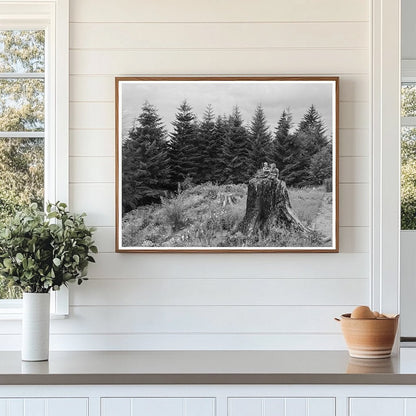 Elma Hills Landscape Grays Harbor County 1939 - Available at KNOWOL