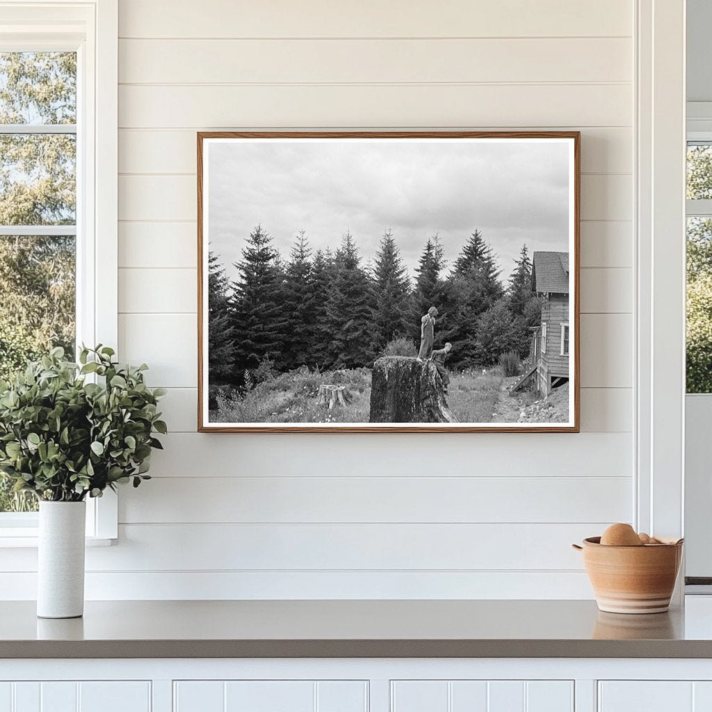 Elma Hills Landscape Grays Harbor County 1939 - Available at KNOWOL