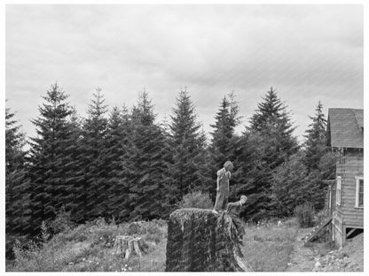 Elma Hills Landscape Grays Harbor County 1939 - Available at KNOWOL