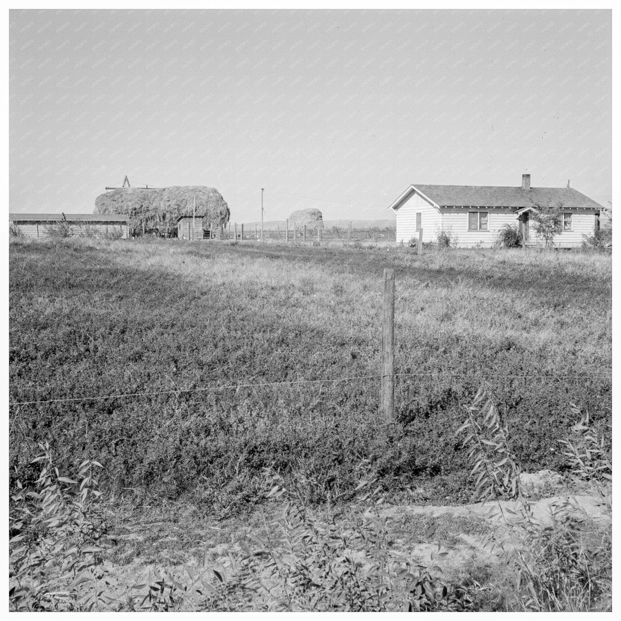 Emmett Smith House Malheur County Oregon 1939 - Available at KNOWOL