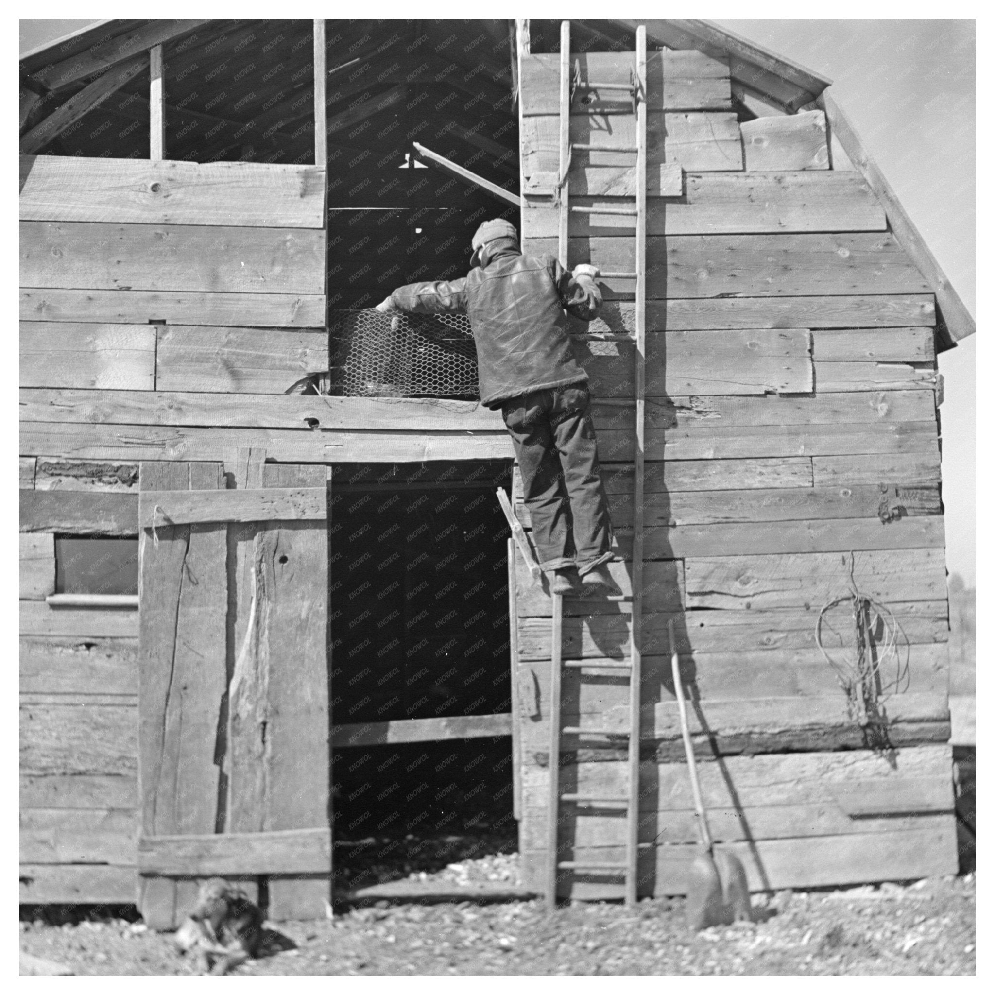 Erasty Emrich climbing ladder in barn Indiana 1937 - Available at KNOWOL