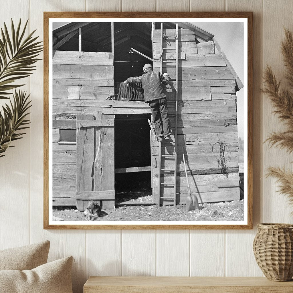 Erasty Emrich climbing ladder in barn Indiana 1937 - Available at KNOWOL