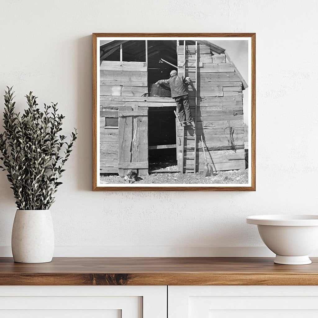 Erasty Emrich climbing ladder in barn Indiana 1937 - Available at KNOWOL