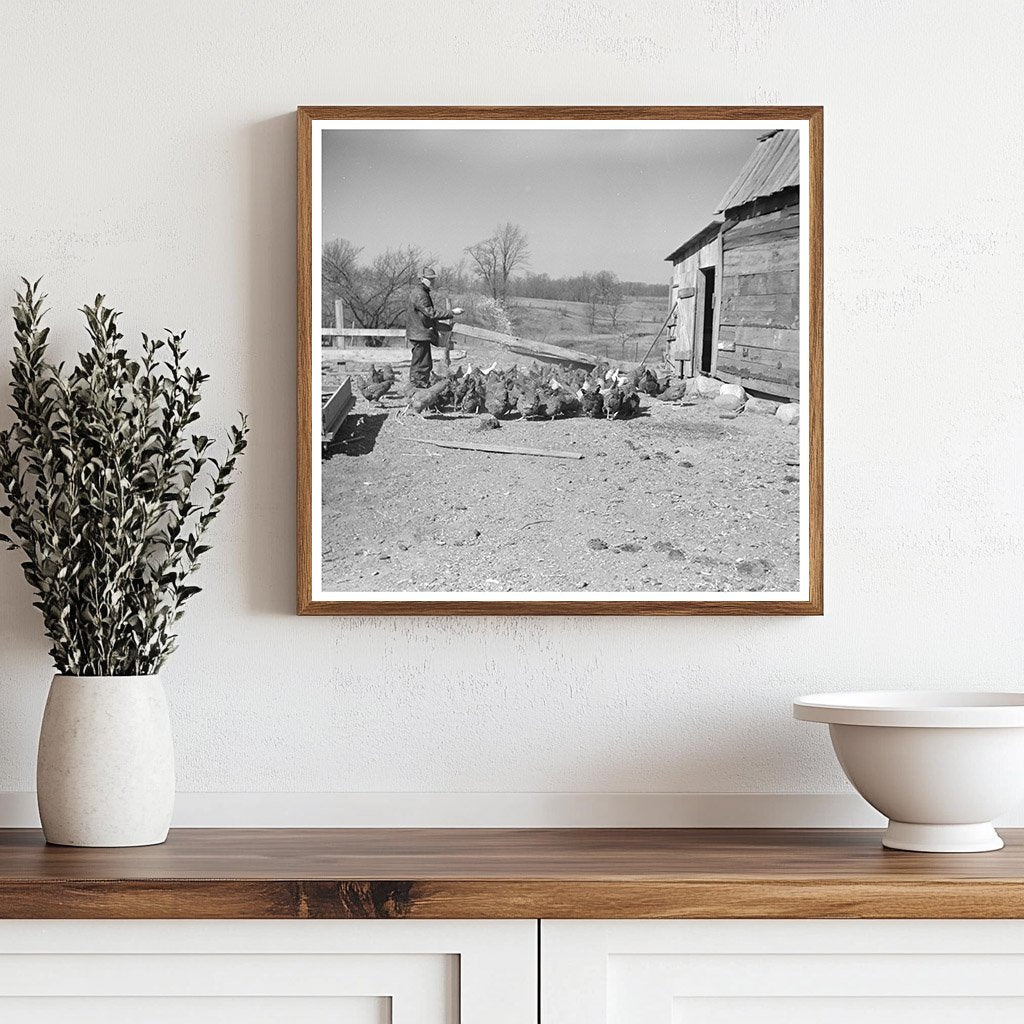 Erasty Emrich Feeding Chickens on Farm Indiana March 1937 - Available at KNOWOL