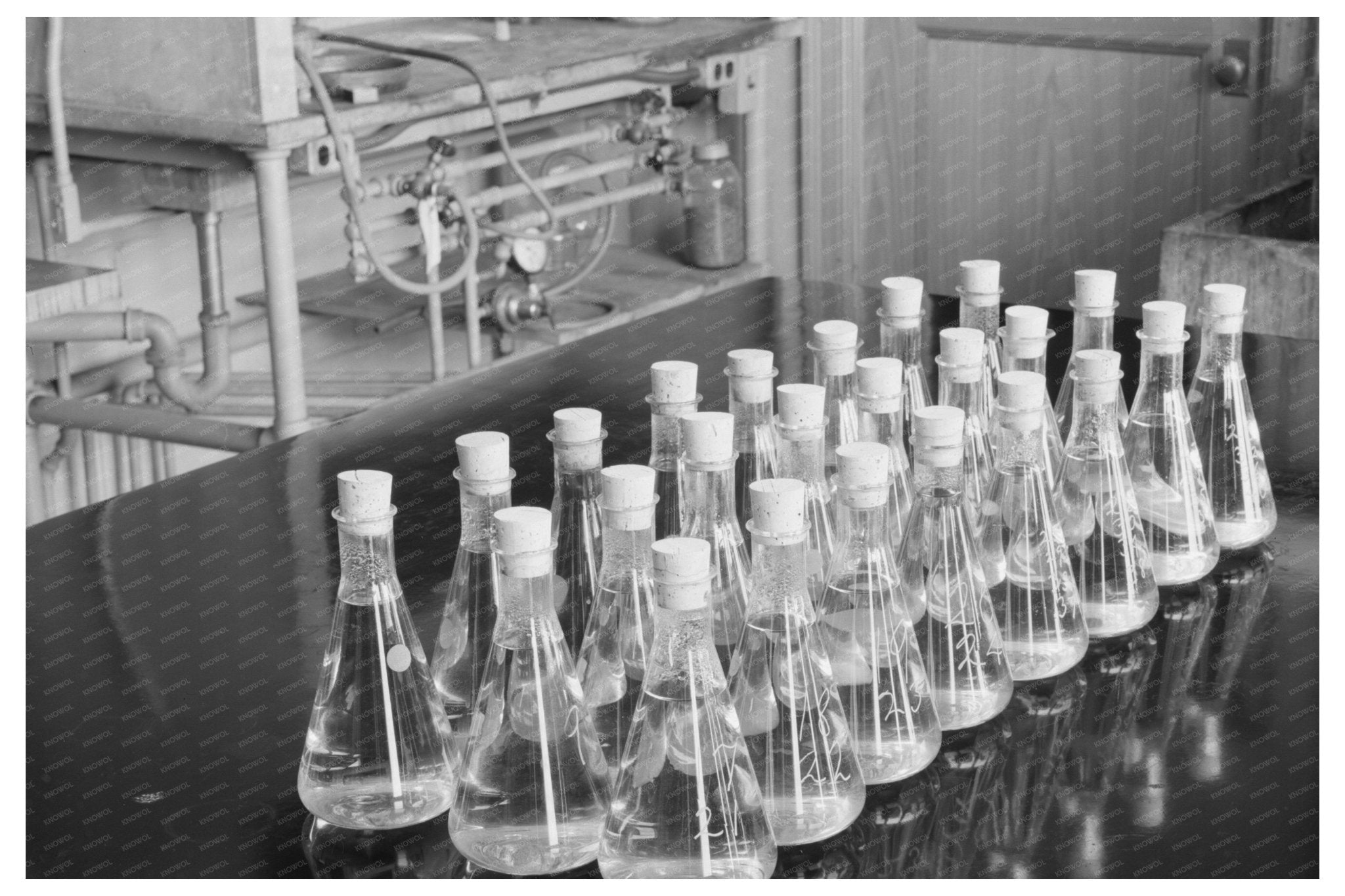 Erlenmeyer Flasks and Wood Samples 1937 Forest Products Lab - Available at KNOWOL