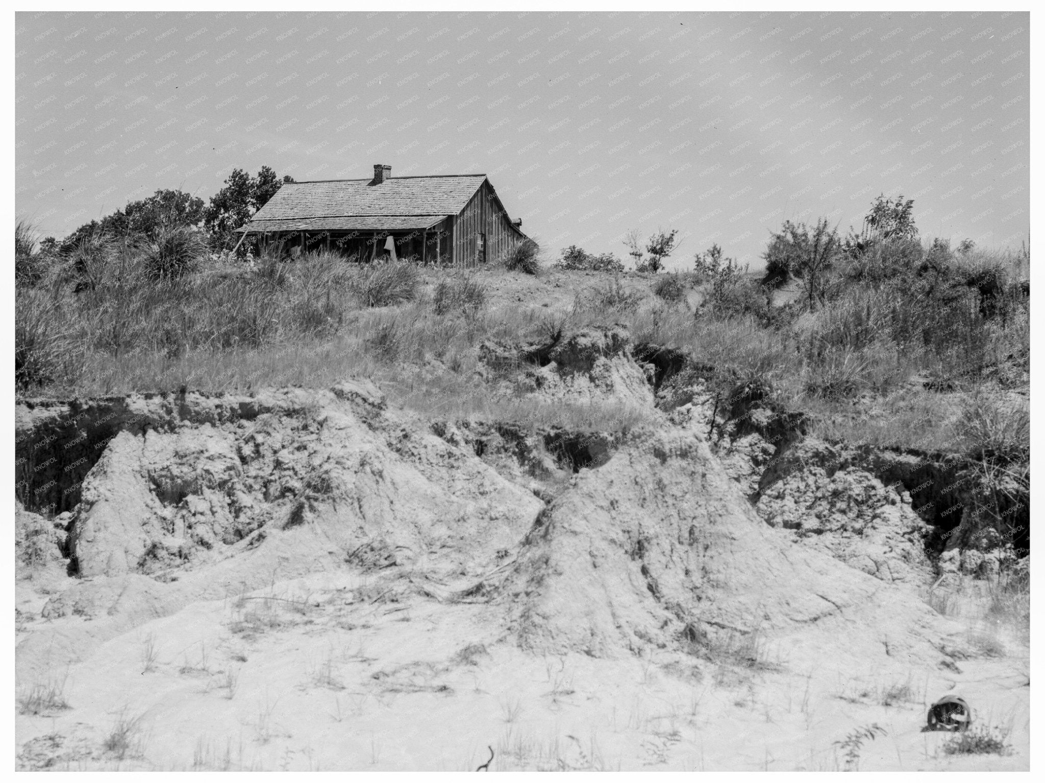 Eroded Cotton Farm Jackson Mississippi 1937 - Available at KNOWOL