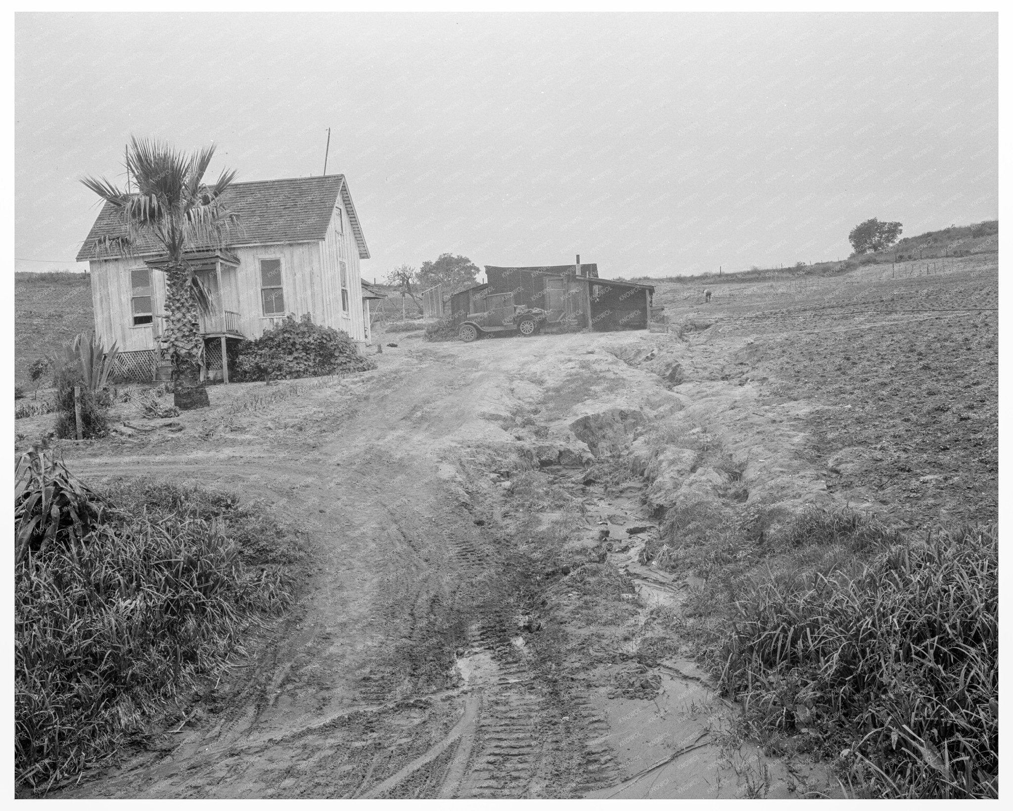 Eroded Field in San Luis Obispo County California 1936 - Available at KNOWOL