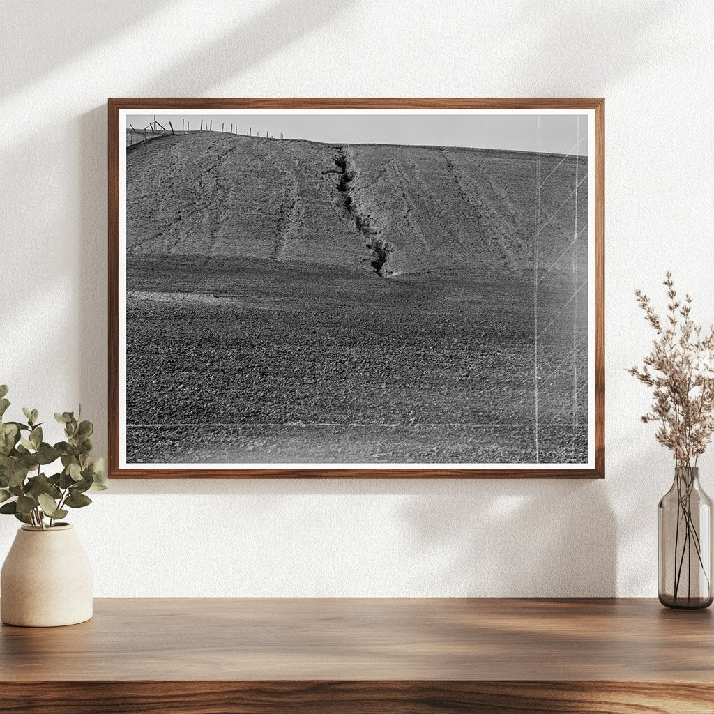 Erosion Effects on Pea Fields Santa Maria California 1939 - Available at KNOWOL