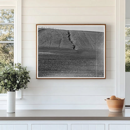 Erosion Effects on Pea Fields Santa Maria California 1939 - Available at KNOWOL