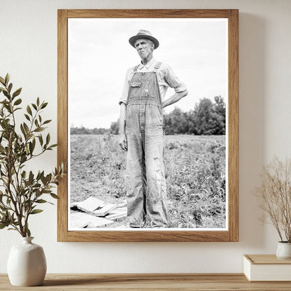 Evicted Sharecropper in Mississippi 1936 - Available at KNOWOL