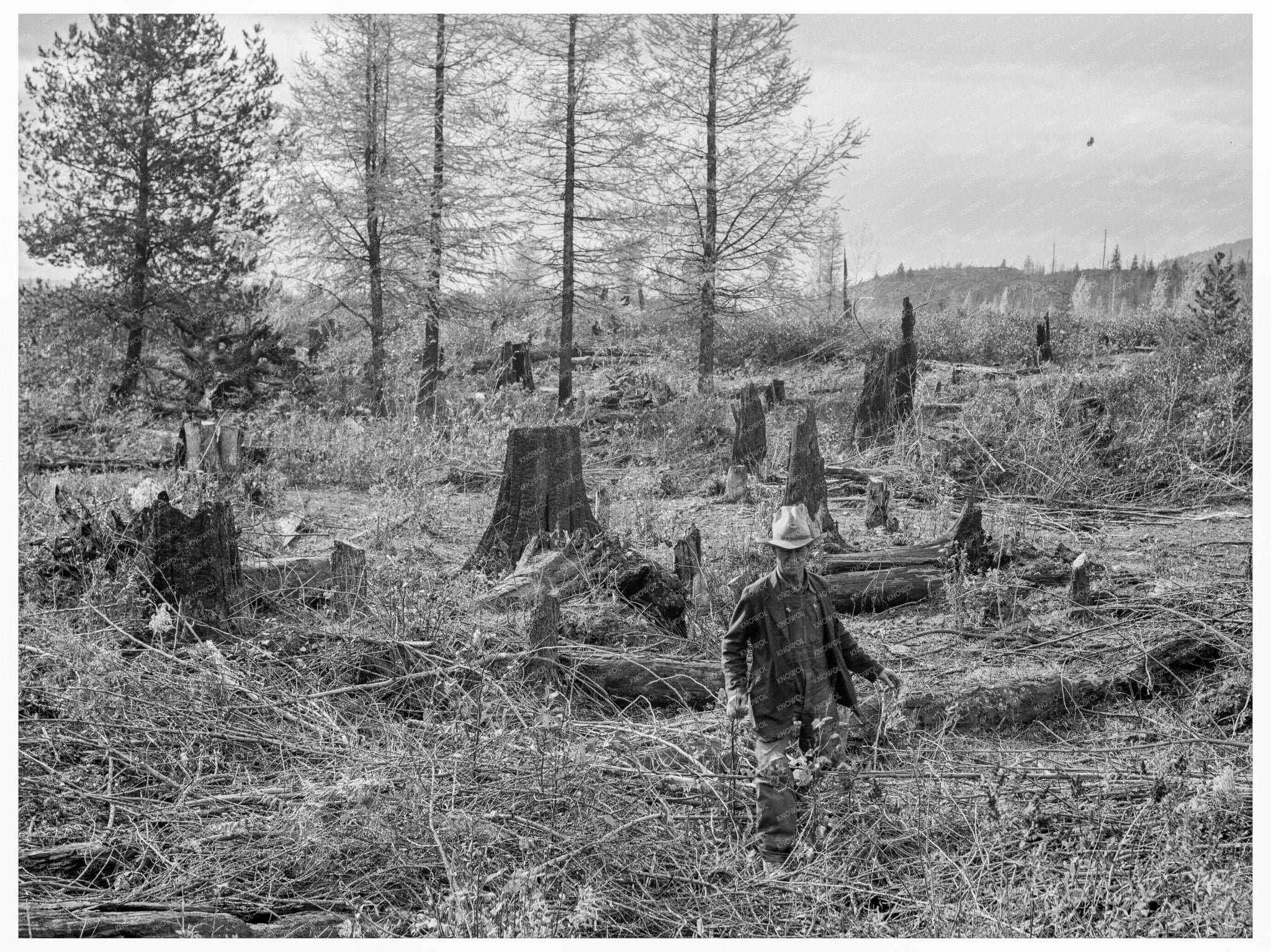 Ex - Farmer in Bonner County Idaho October 1939 - Available at KNOWOL