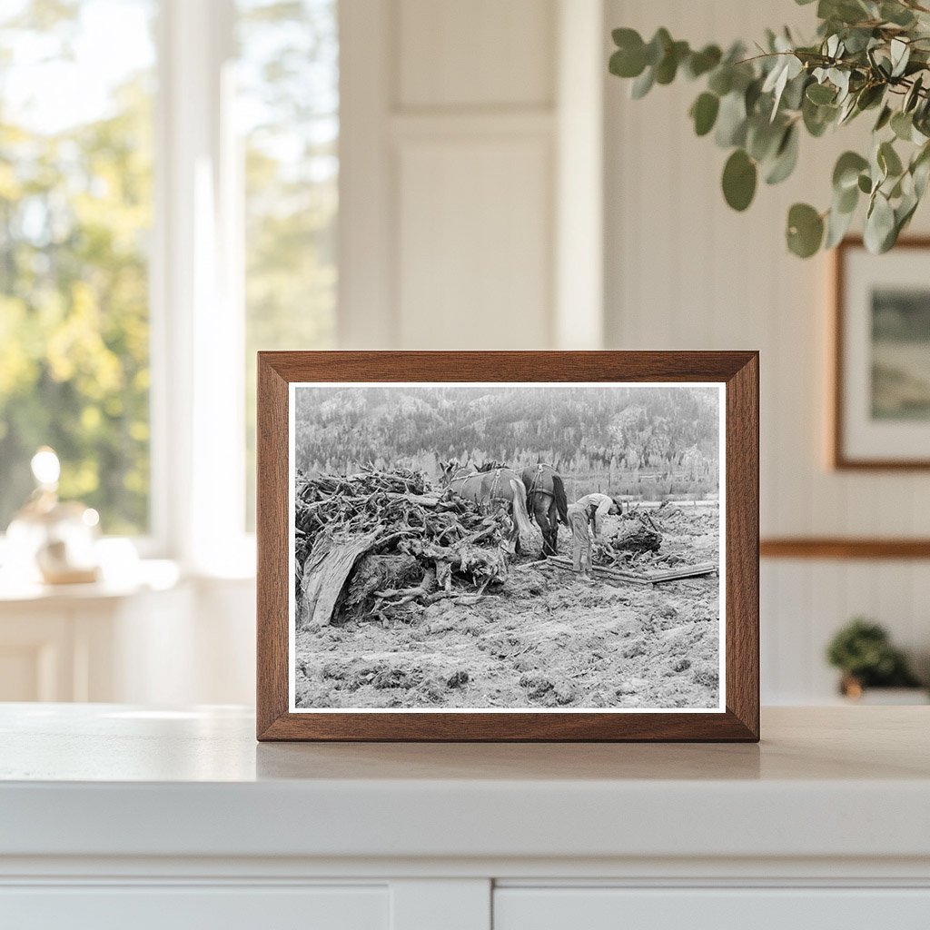 Ex - Lumber Mill Worker Clearing Field Boundary County Idaho 1939 - Available at KNOWOL