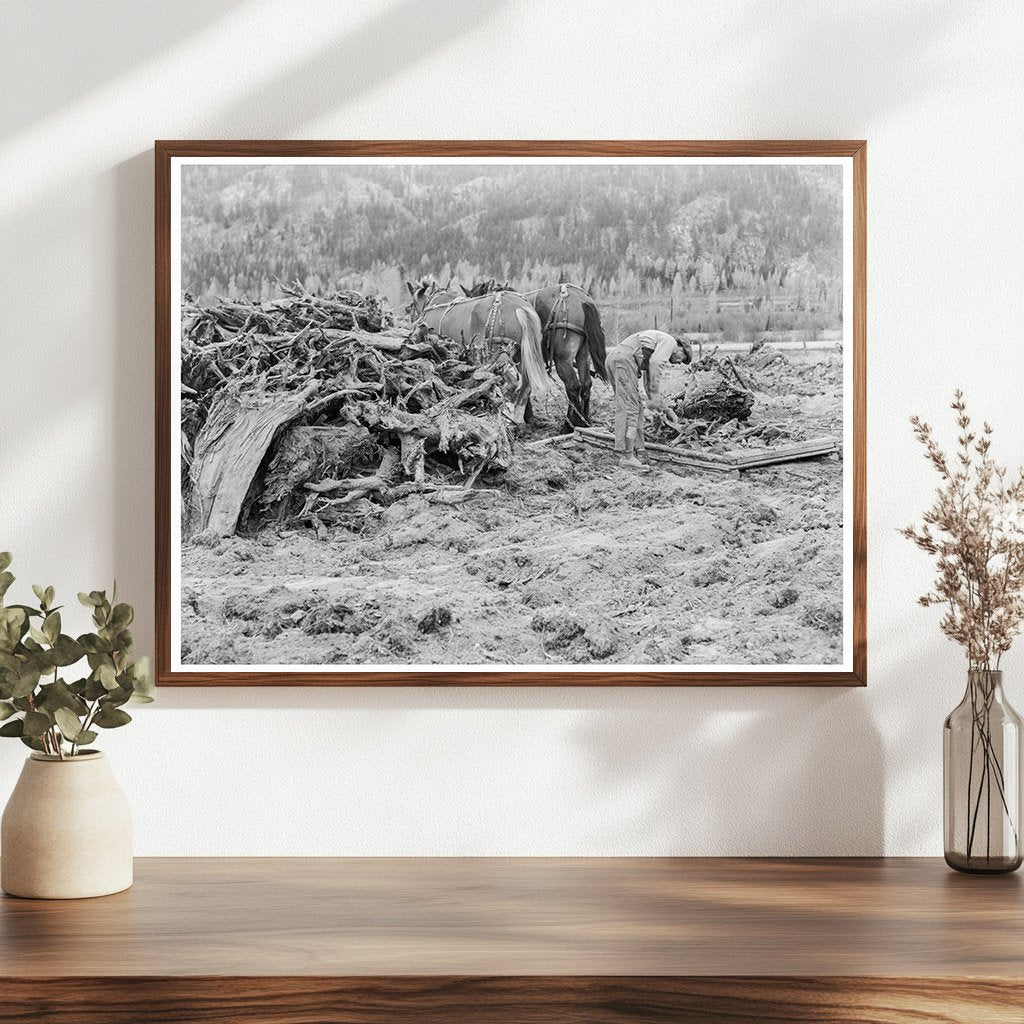 Ex - Lumber Mill Worker Clearing Field Boundary County Idaho 1939 - Available at KNOWOL