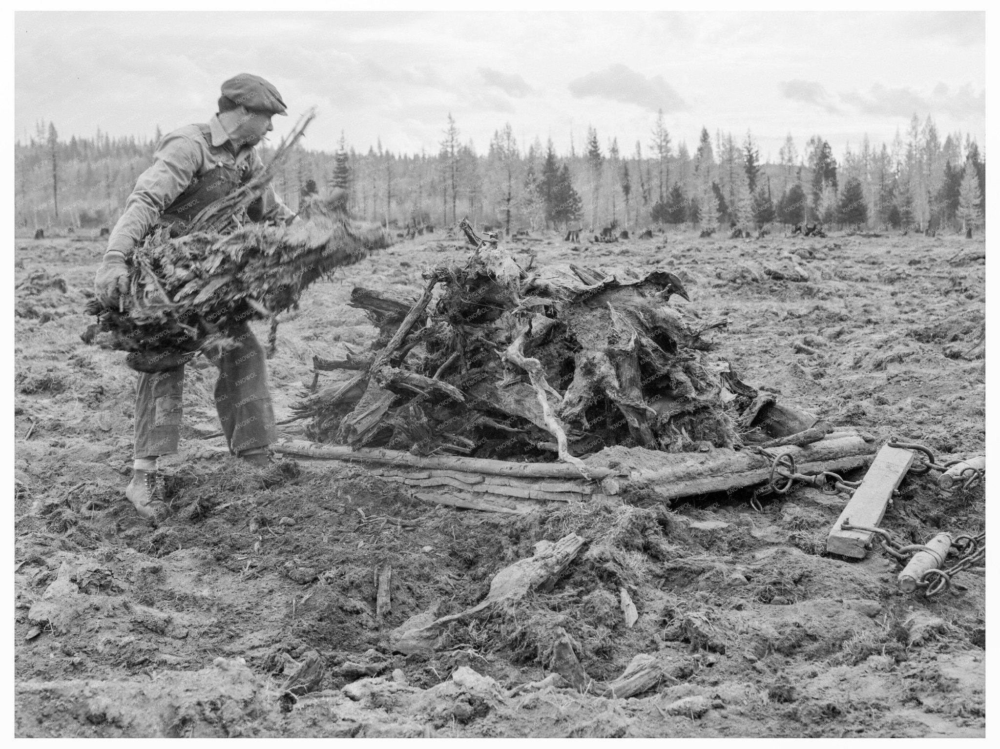 Ex - Lumber Mill Worker Clearing Field Idaho 1939 - Available at KNOWOL