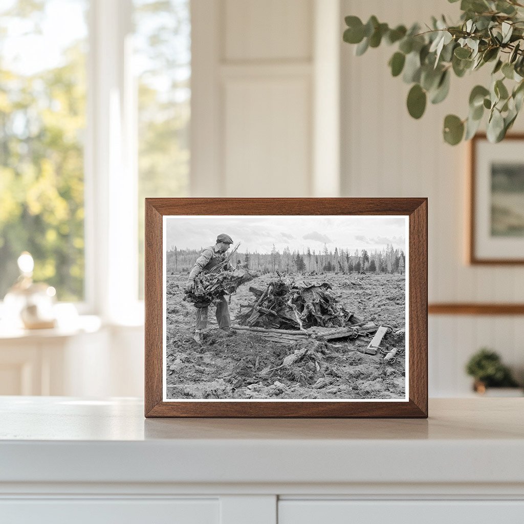 Ex - Lumber Mill Worker Clearing Field Idaho 1939 - Available at KNOWOL